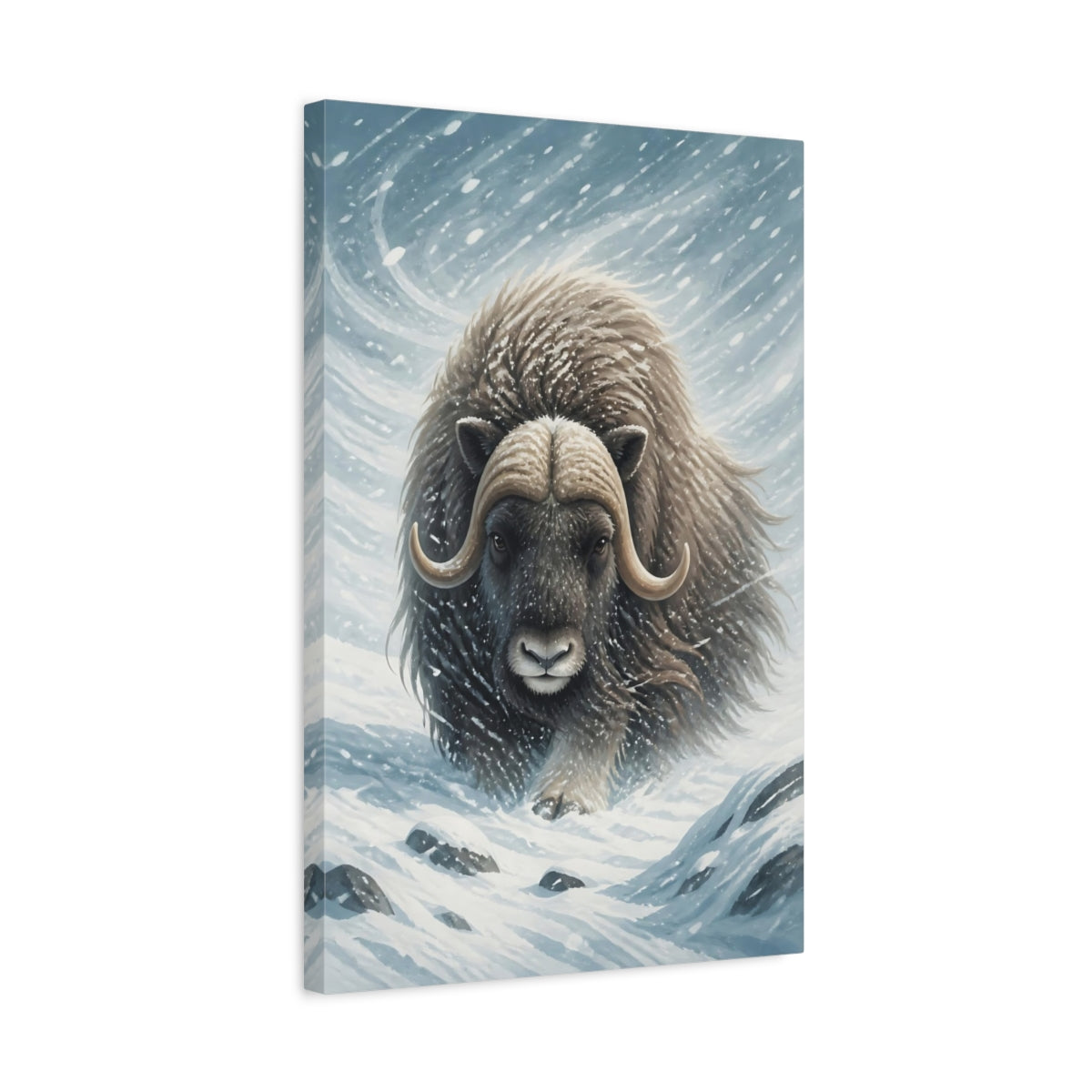 Side Mockup 3. Majestic Musk Ox In Snow shown as canvas print