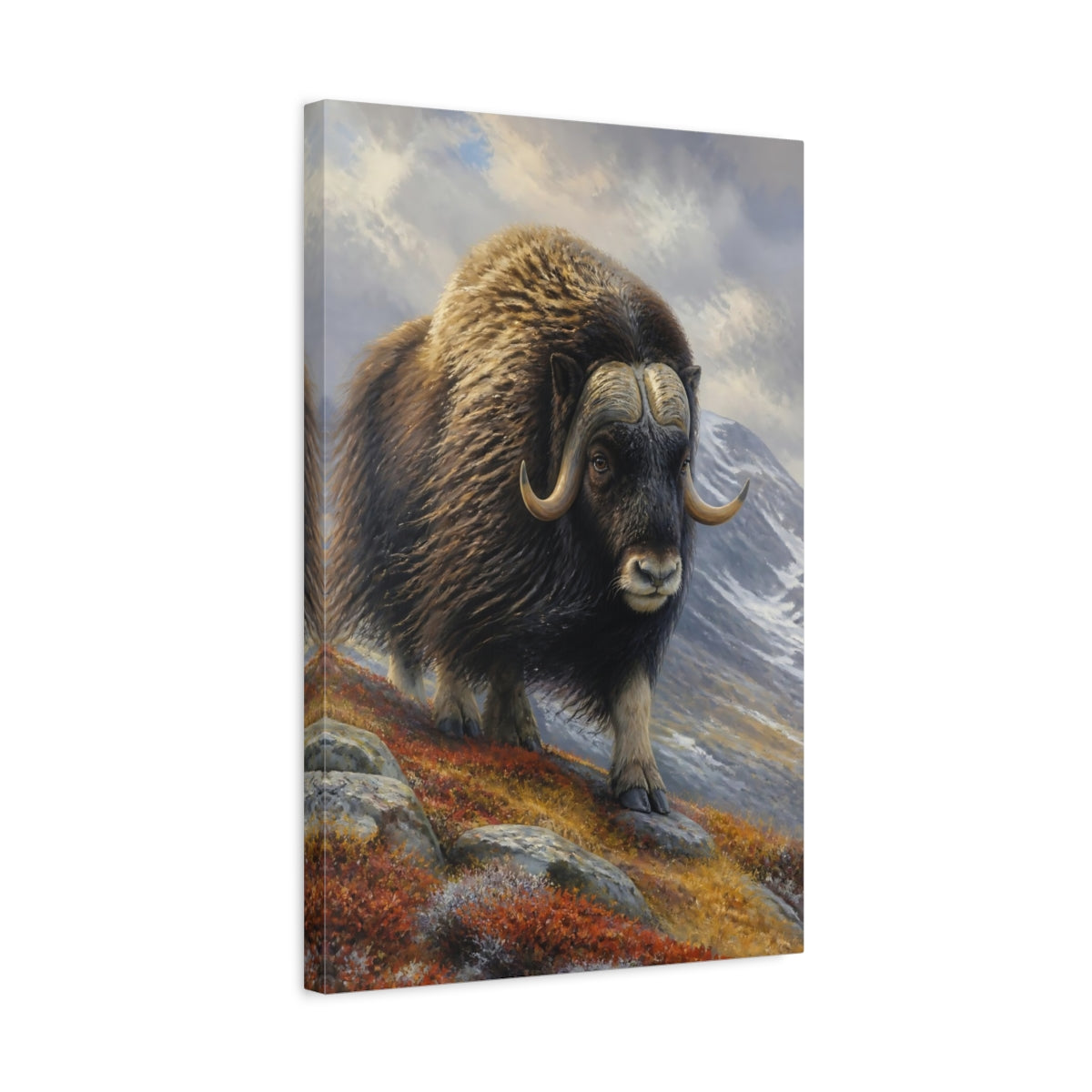 Side Mockup 3. Musk Ox Animal Portrait shown as canvas print
