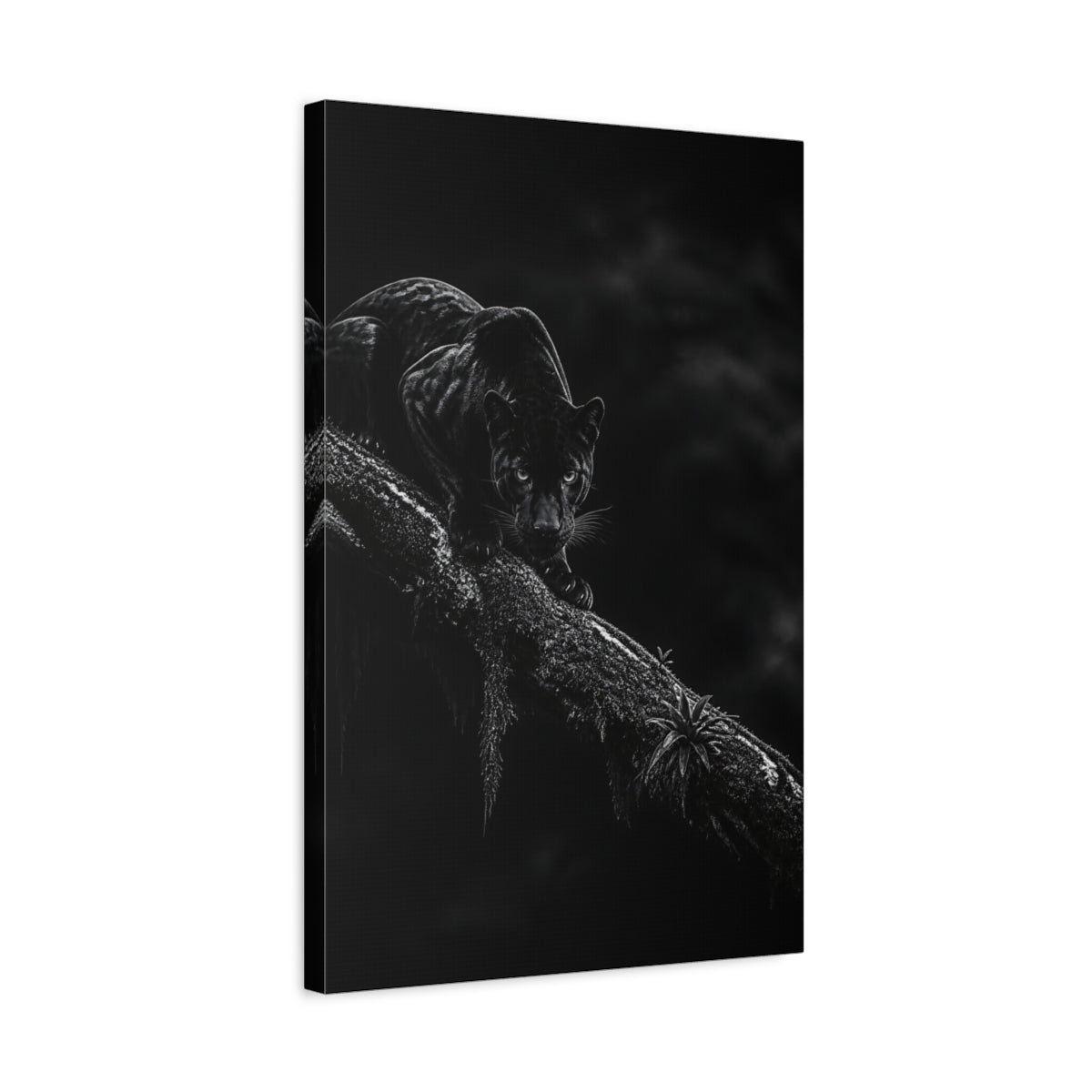 Side Mockup 3. Stalking Black Panther shown as canvas print