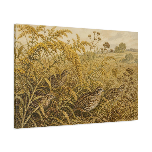 Main Mockup. Botanical Quail Among Goldenrod shown as canvas print