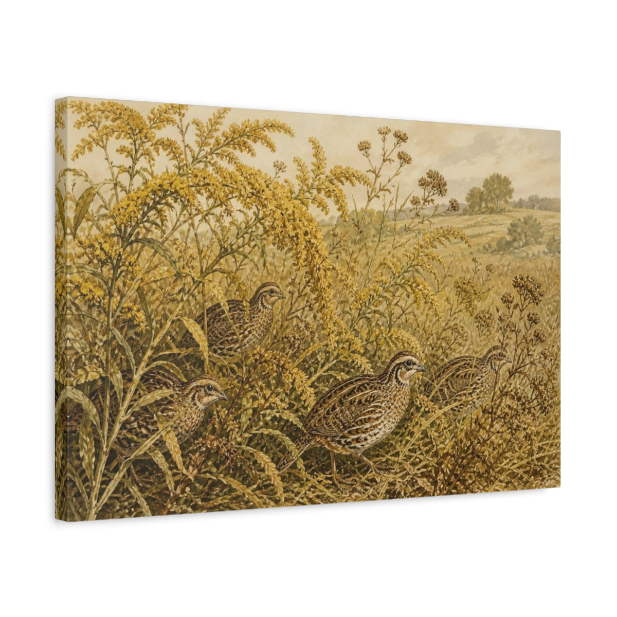 Side Mockup 3. Botanical Quail Among Goldenrod shown as canvas print
