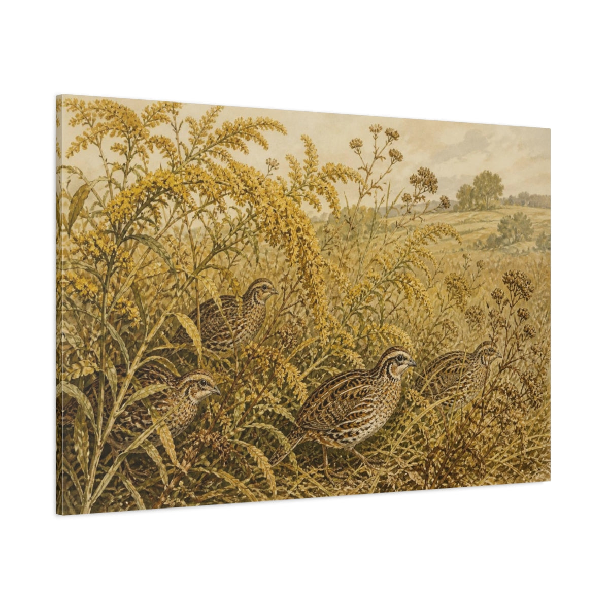 Side Mockup 1. Botanical Quail Among Goldenrod shown as canvas print