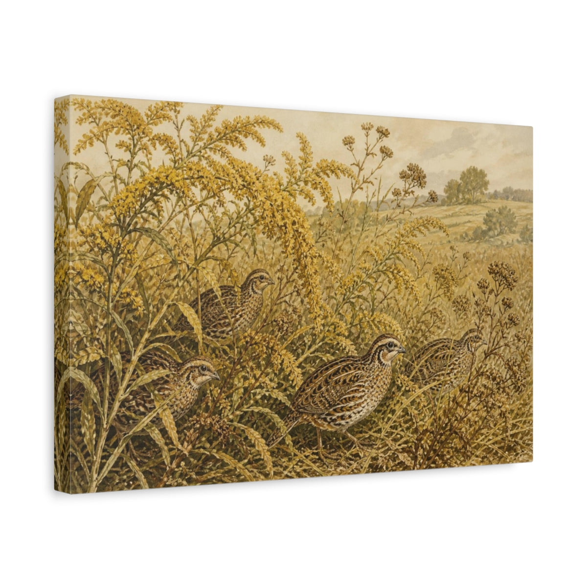 Side Mockup 4. Botanical Quail Among Goldenrod shown as canvas print