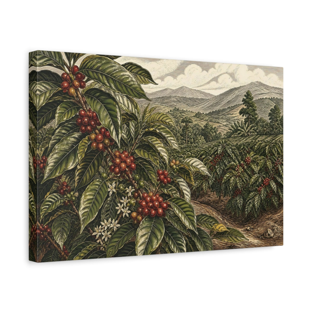 Side Mockup 4. Coffee Plant Landscape shown as canvas print