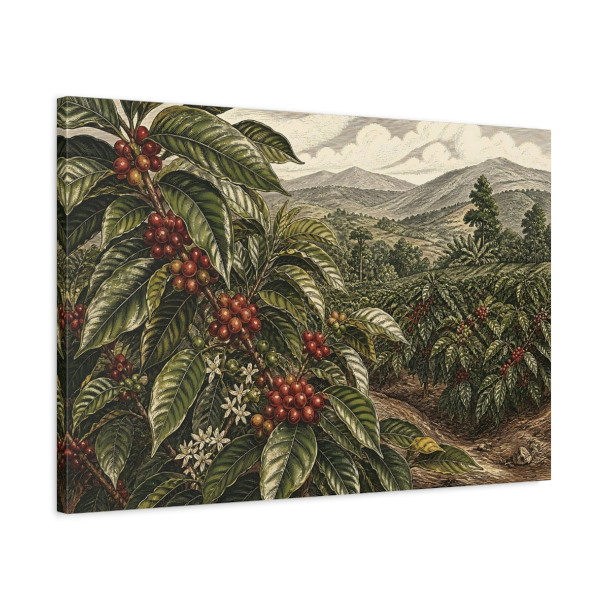 Side Mockup 2. Coffee Plant Landscape shown as canvas print