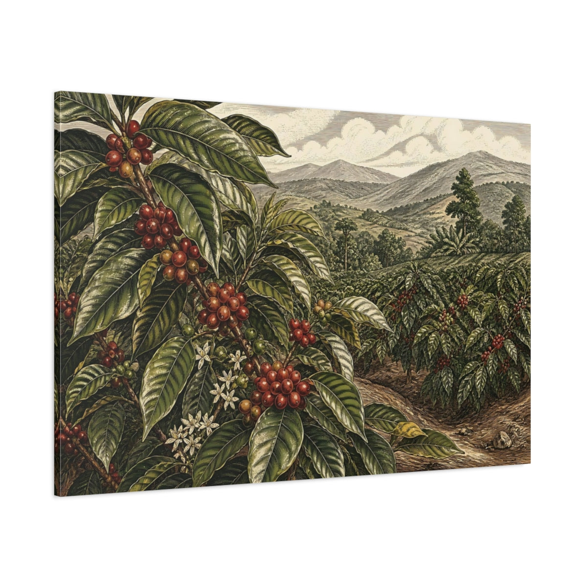 Side Mockup 1. Coffee Plant Landscape shown as canvas print