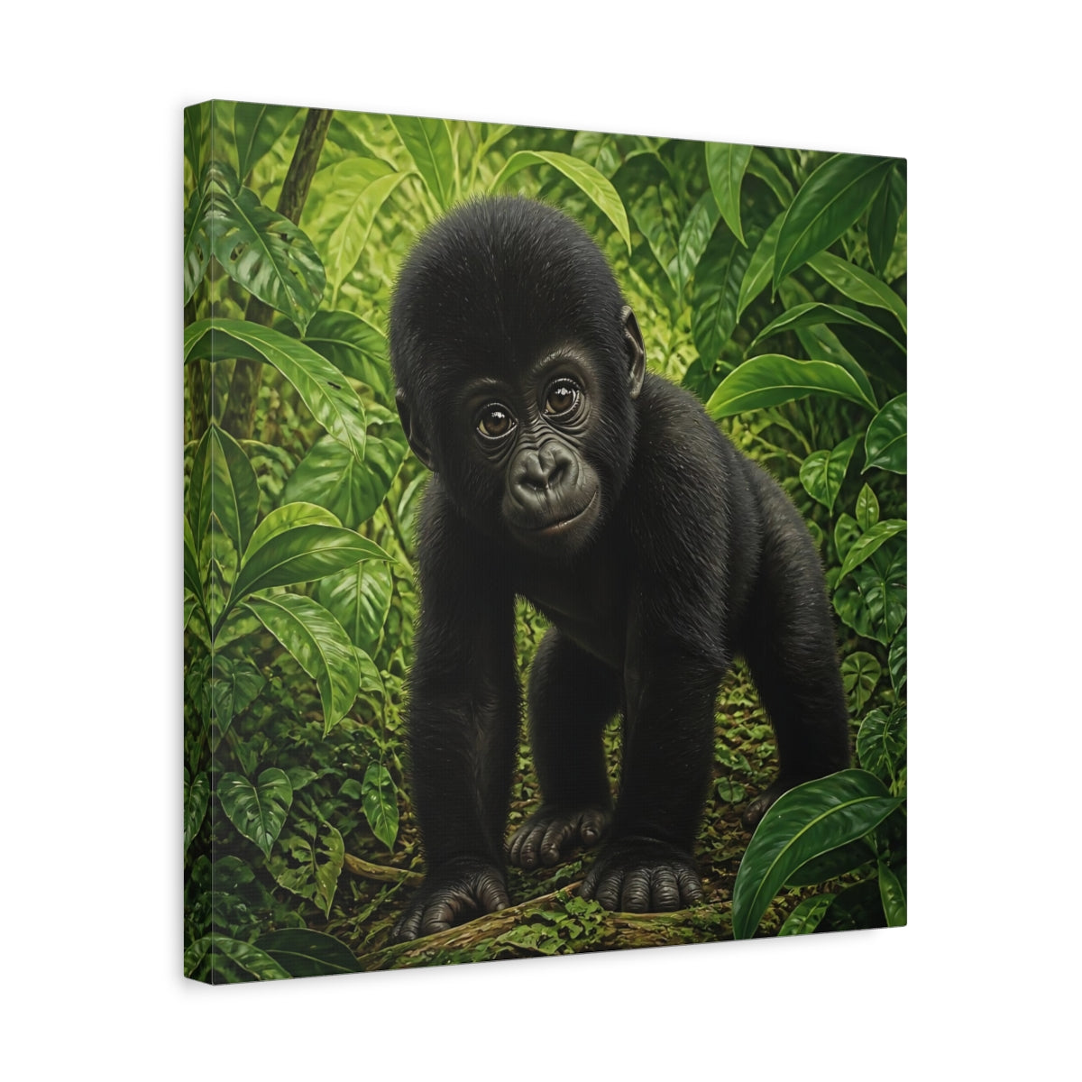 Side Mockup 6. Curious Baby Gorilla shown as canvas print