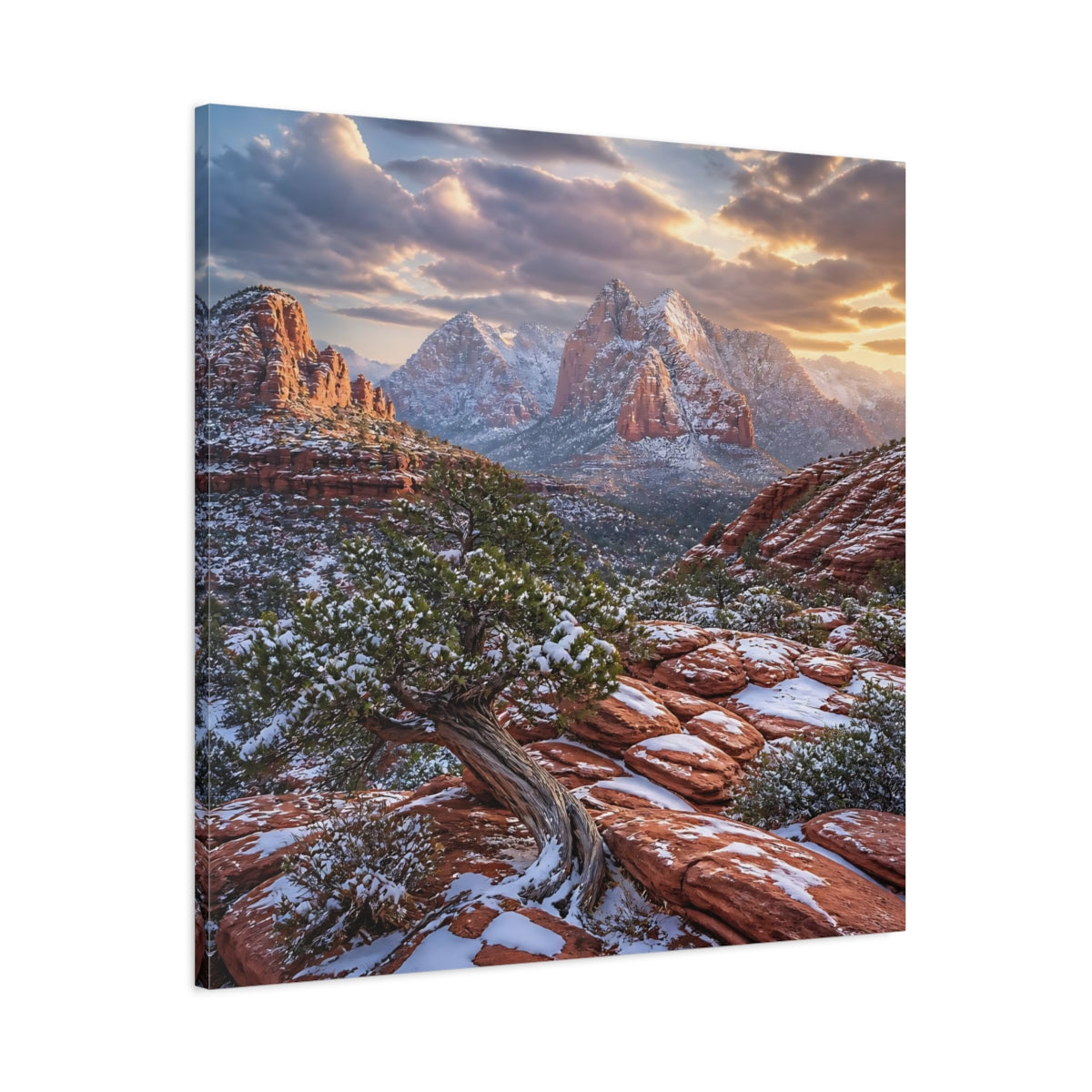Main Mockup. Juniper Tree Landscape shown as canvas print