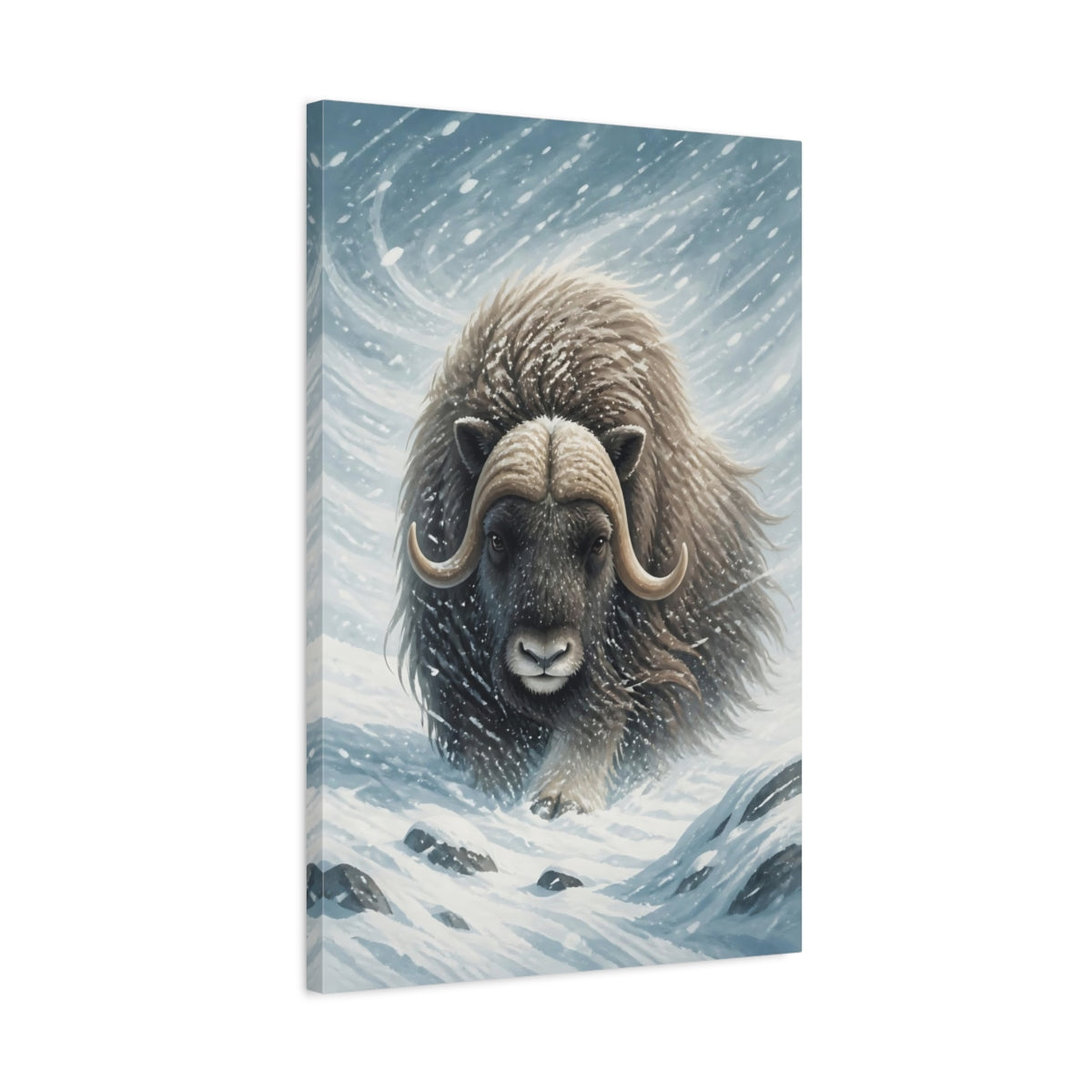 Side Mockup 2. Majestic Musk Ox In Snow shown as canvas print