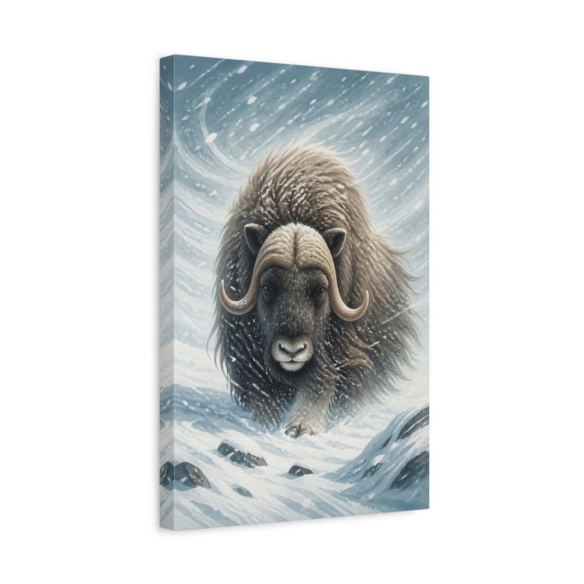 Side Mockup 4. Majestic Musk Ox In Snow shown as canvas print