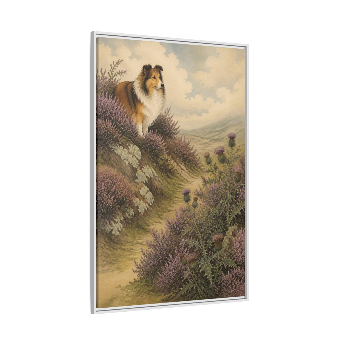 Side Mockup 7. Pets: Shetland Sheepdog On Heather shown as framed canvas print