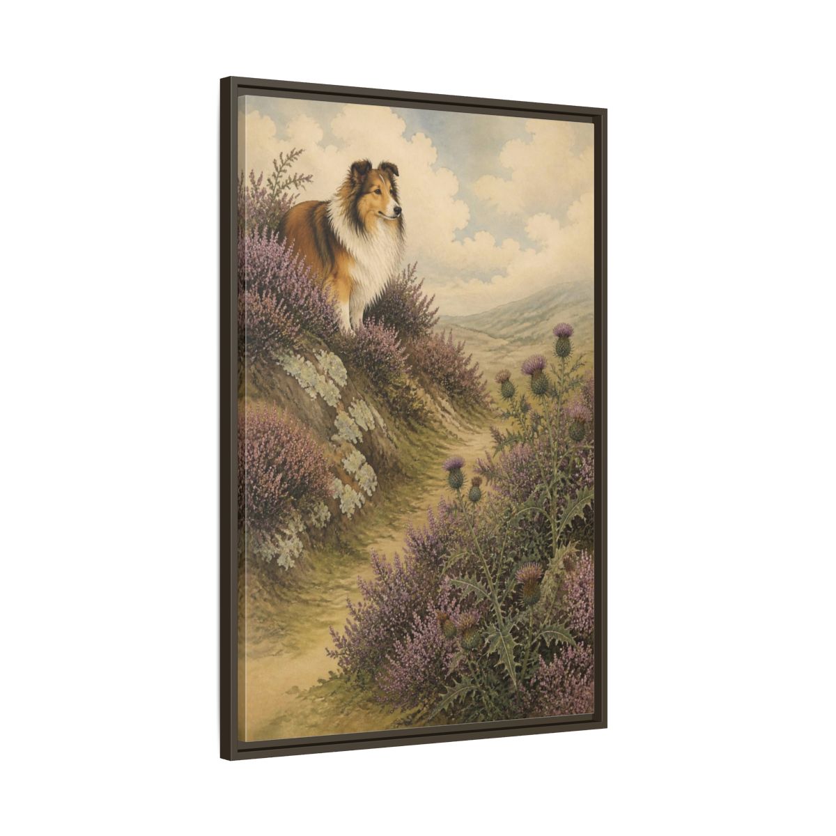 Main Mockup. Pets: Shetland Sheepdog On Heather shown as framed canvas print