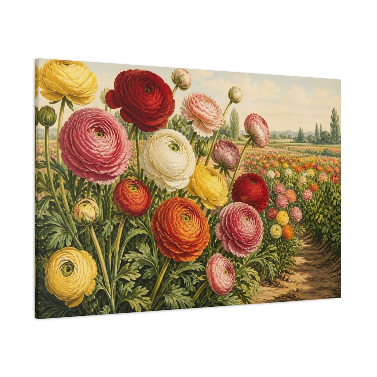 Side Mockup 1. Ranunculus Garden Blooms shown as canvas print