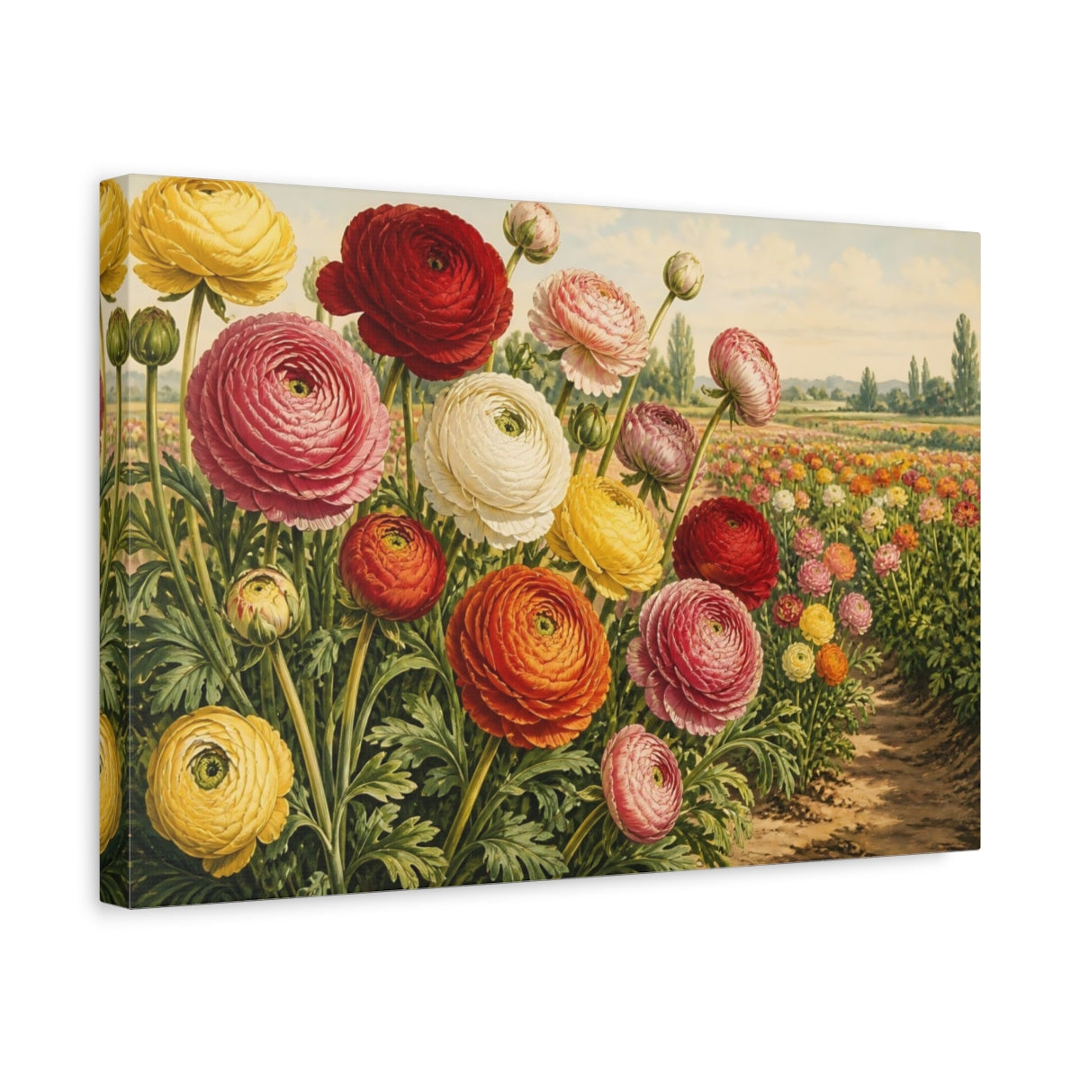 Side Mockup 4. Ranunculus Garden Blooms shown as canvas print