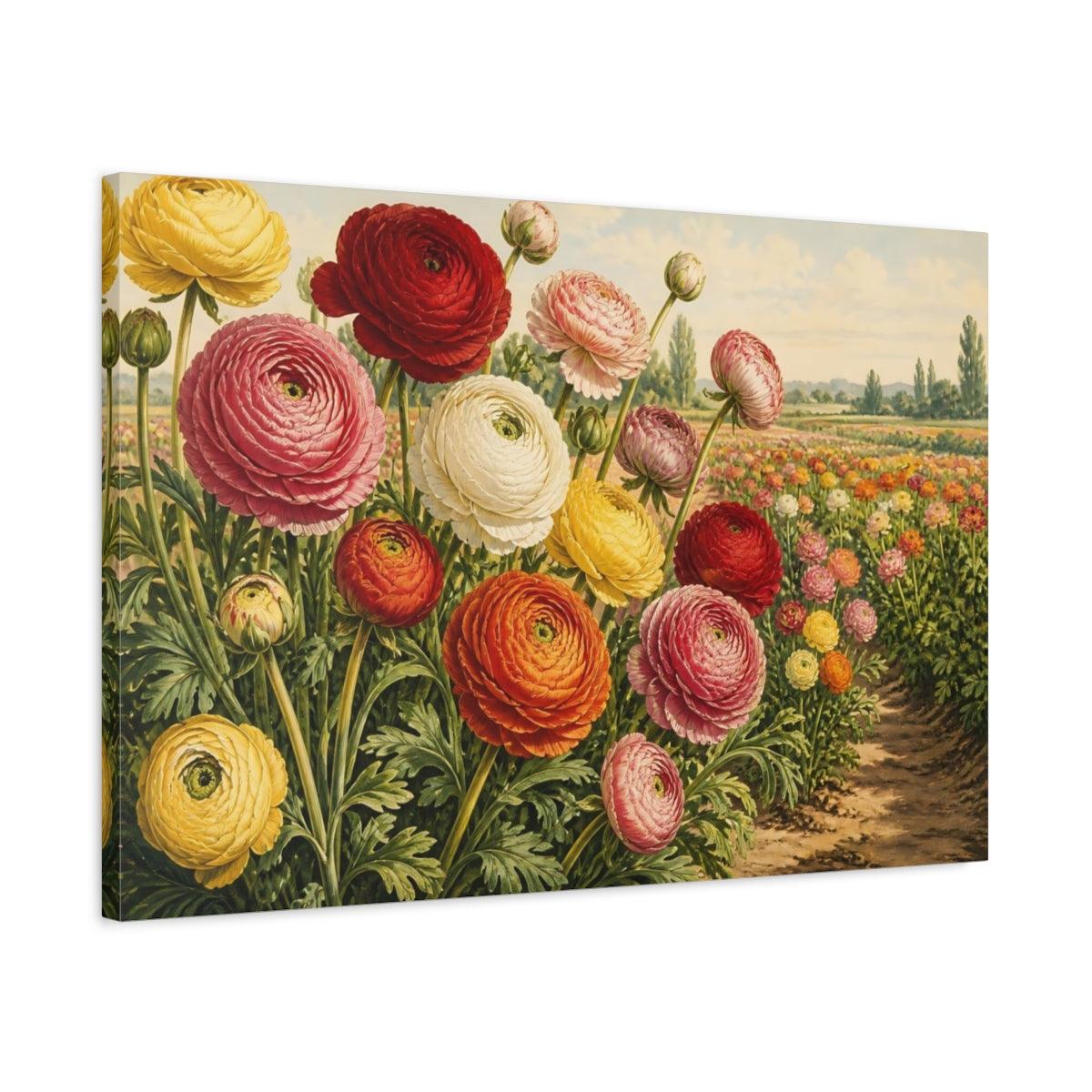 Side Mockup 2. Ranunculus Garden Blooms shown as canvas print