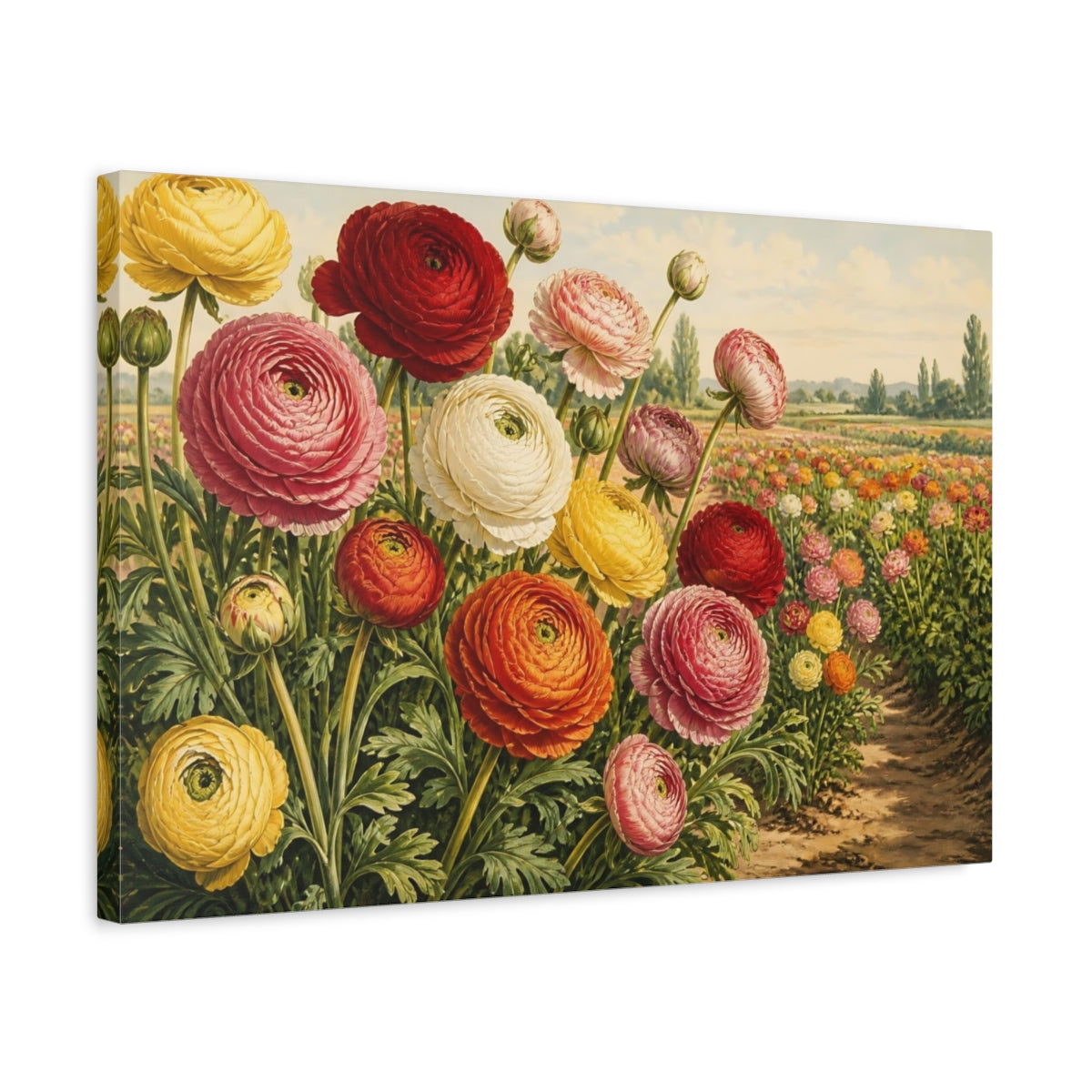 Side Mockup 3. Ranunculus Garden Blooms shown as canvas print