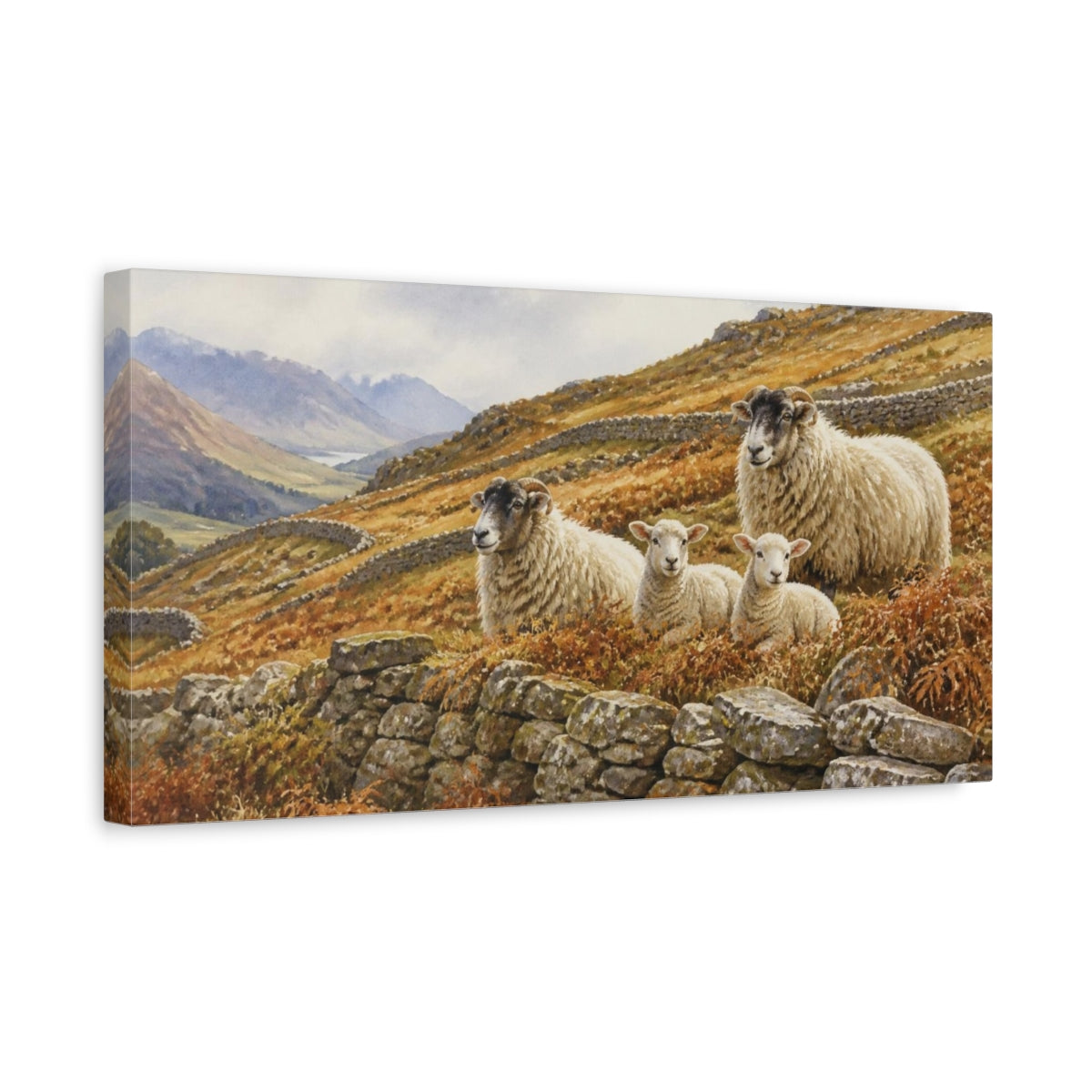 Side Mockup 3. Rustic Sheep On Hillside shown as canvas print