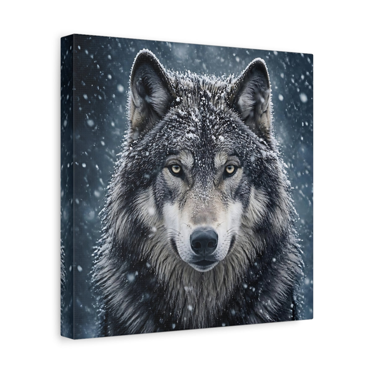 Side Mockup 8. Snow Wolf Portrait shown as canvas print