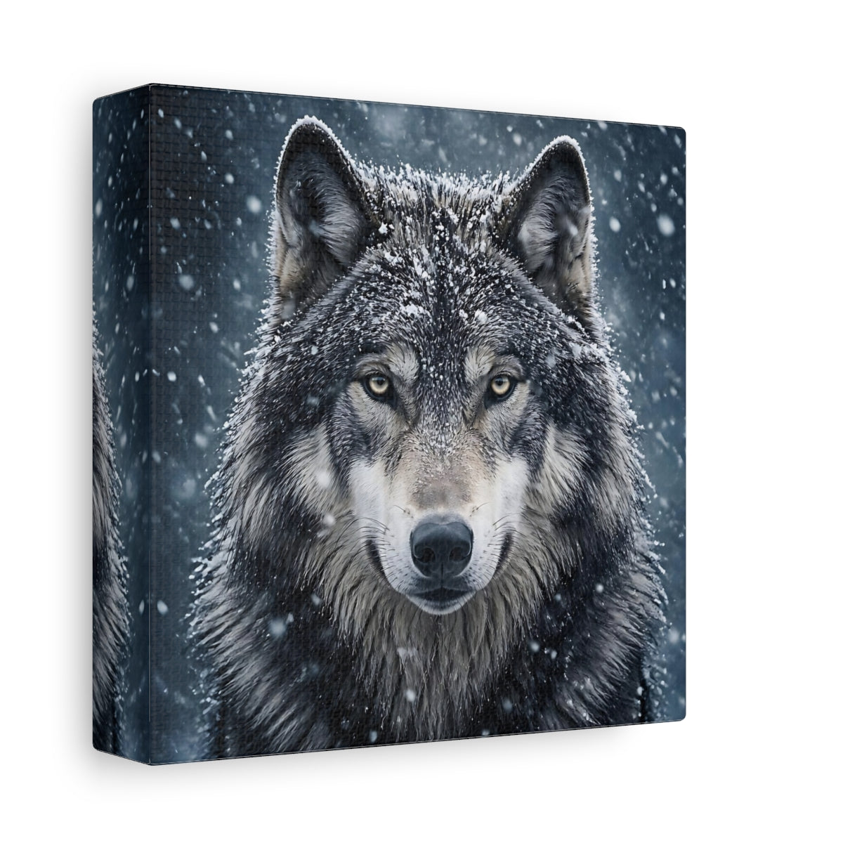 Side Mockup 2. Snow Wolf Portrait shown as canvas print