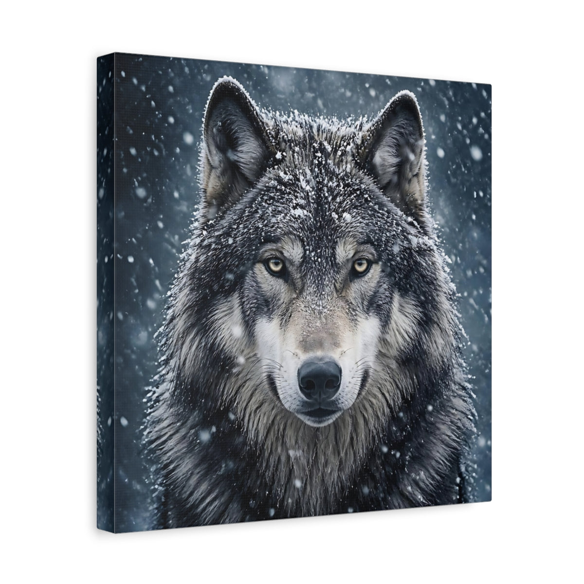 Side Mockup 7. Snow Wolf Portrait shown as canvas print