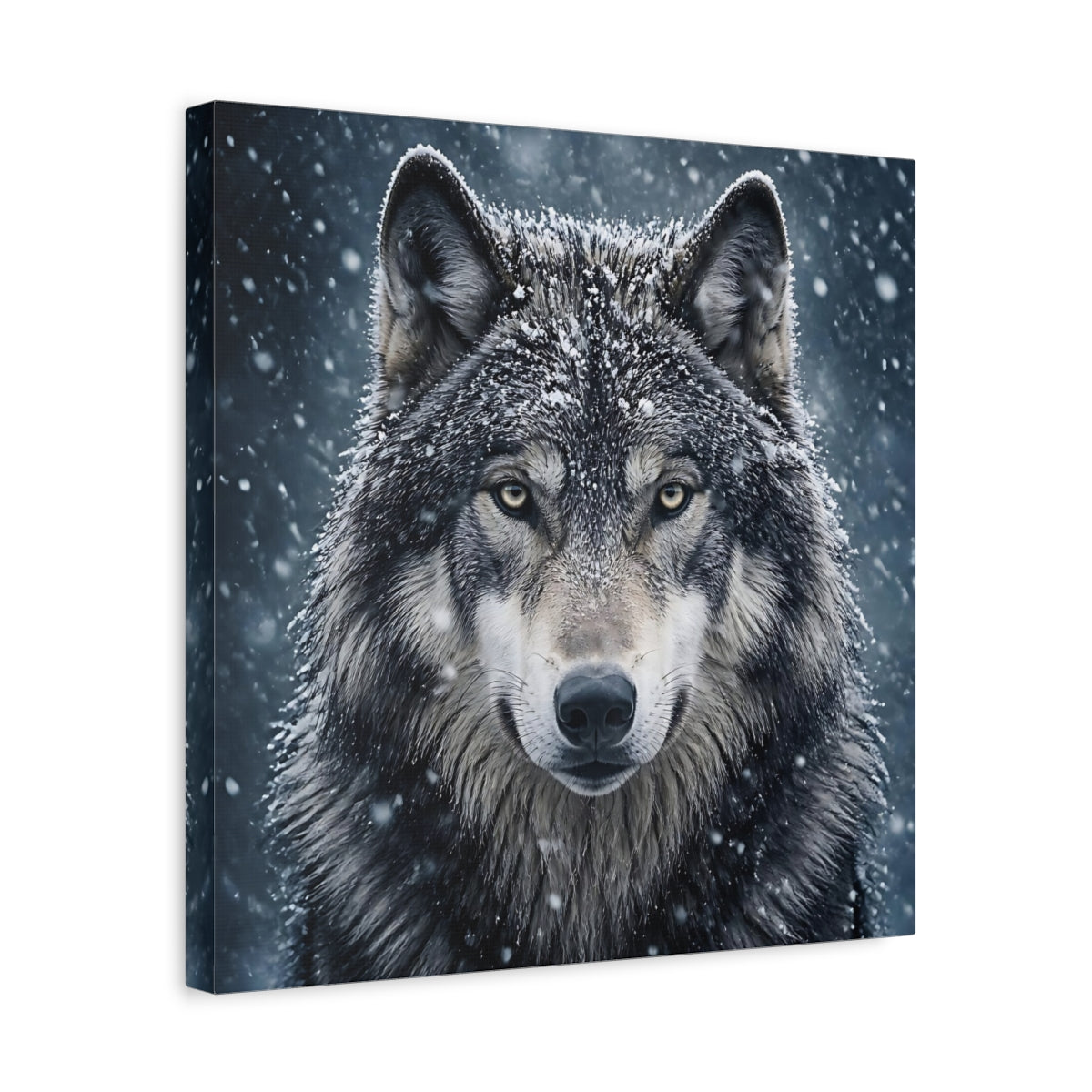 Side Mockup 6. Snow Wolf Portrait shown as canvas print