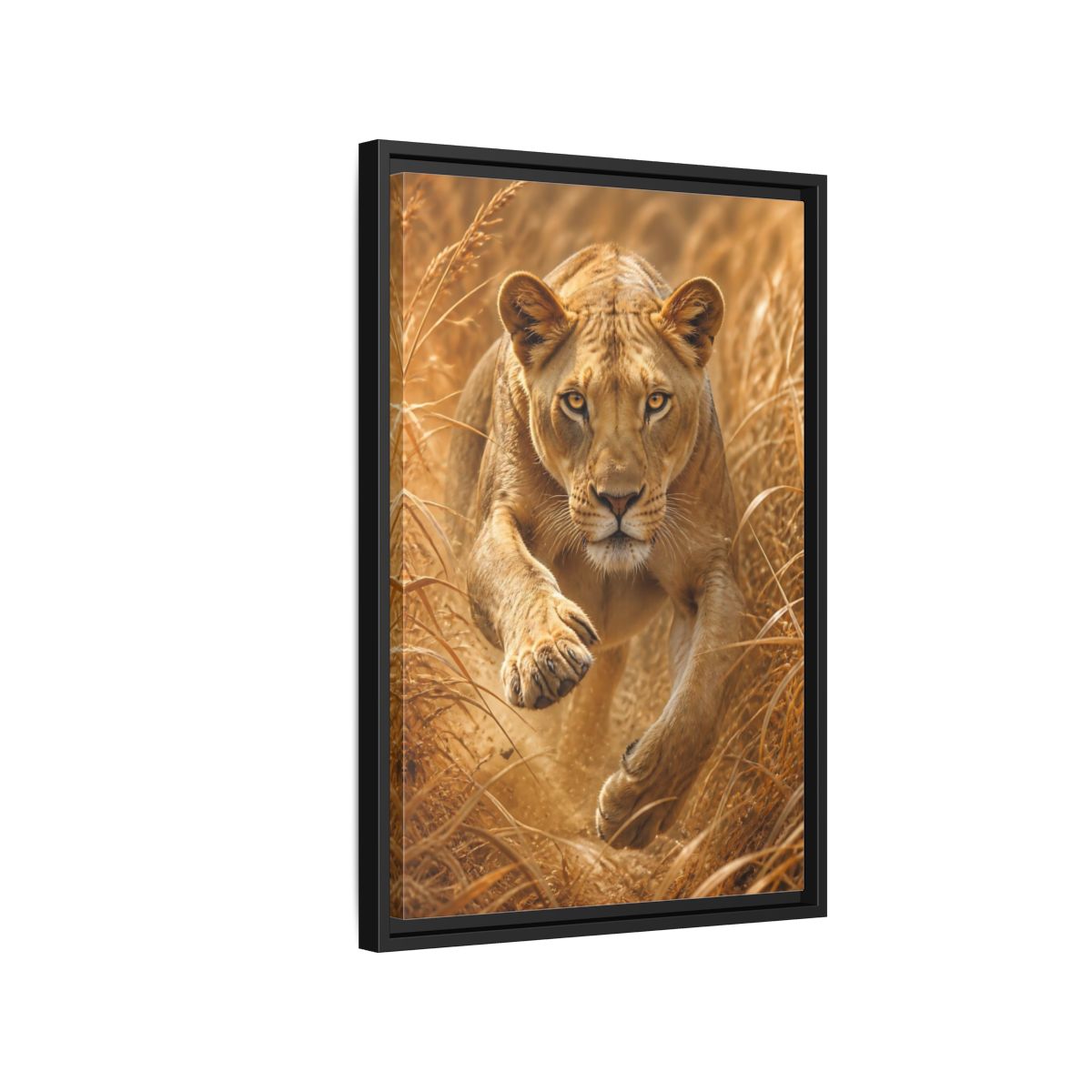 Side Mockup 3. Stalking Lioness In Grass shown as framed canvas print