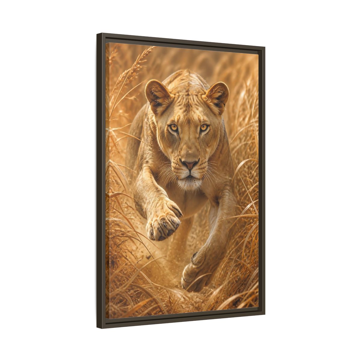 Side Mockup 11. Stalking Lioness In Grass shown as framed canvas print