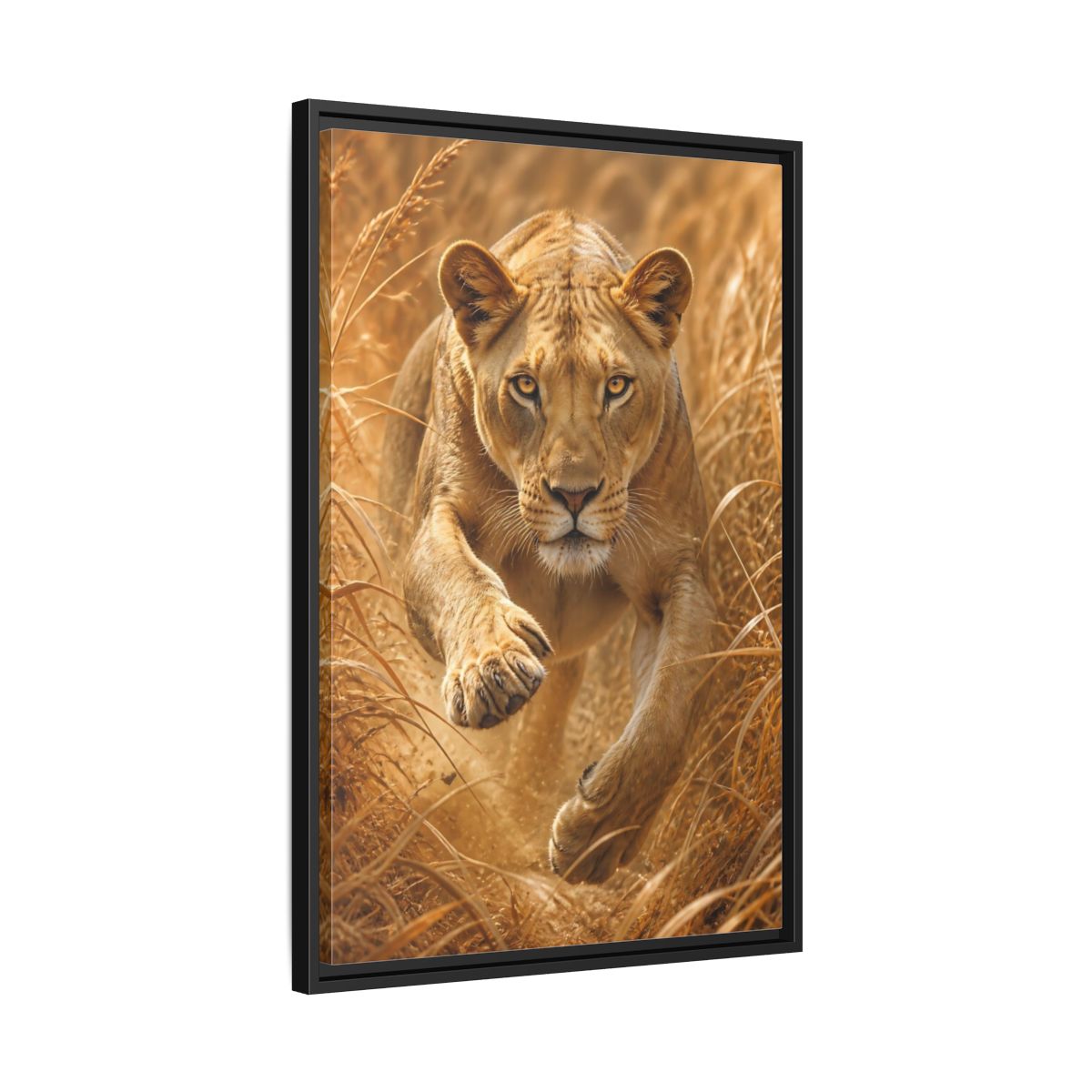 Side Mockup 14. Stalking Lioness In Grass shown as framed canvas print