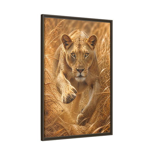 Main Mockup. Stalking Lioness In Grass shown as framed canvas print