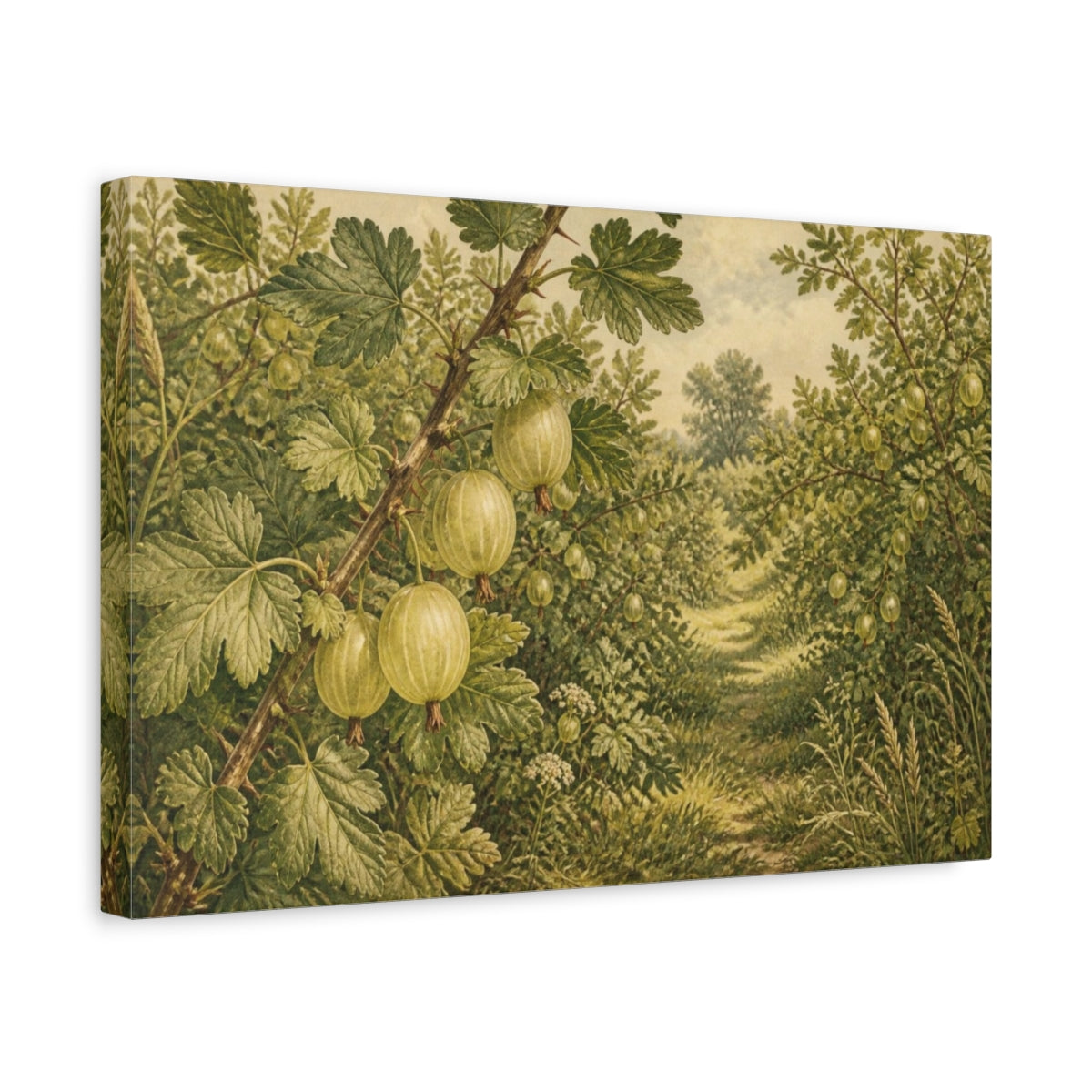 Side Mockup 4. Vintage Botanical Gooseberries shown as canvas print