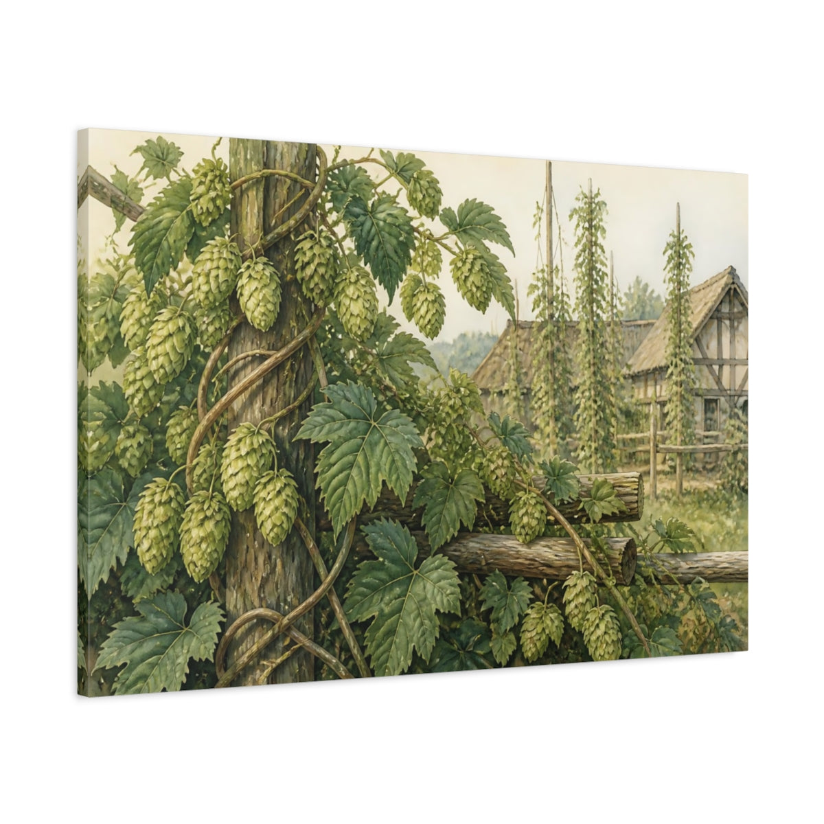 Main Mockup. Vintage Hop Vine shown as canvas print