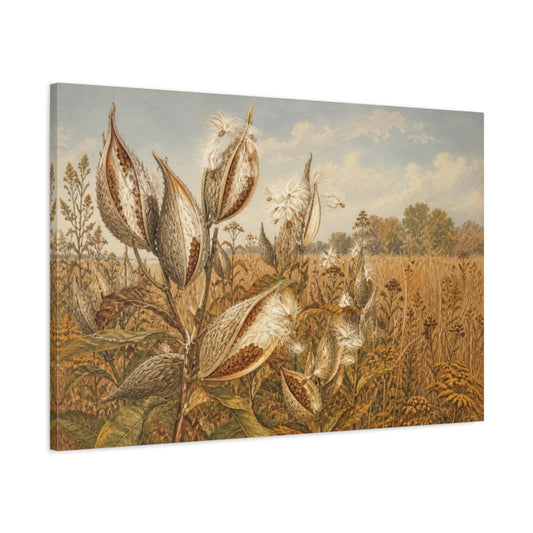 Main Mockup. Vintage Milkweed Study shown as canvas print