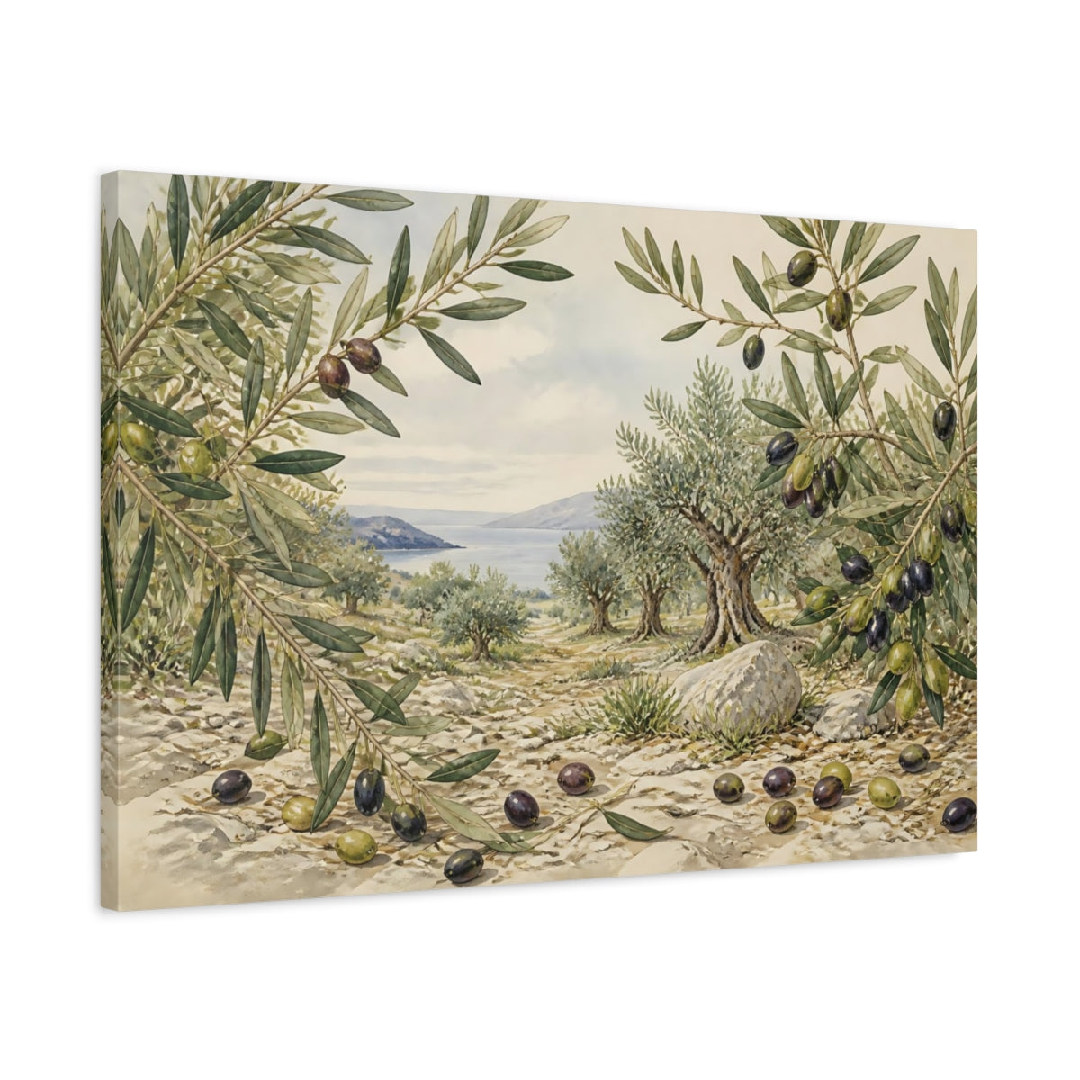 Side Mockup 2. Vintage Olive Branches shown as canvas print
