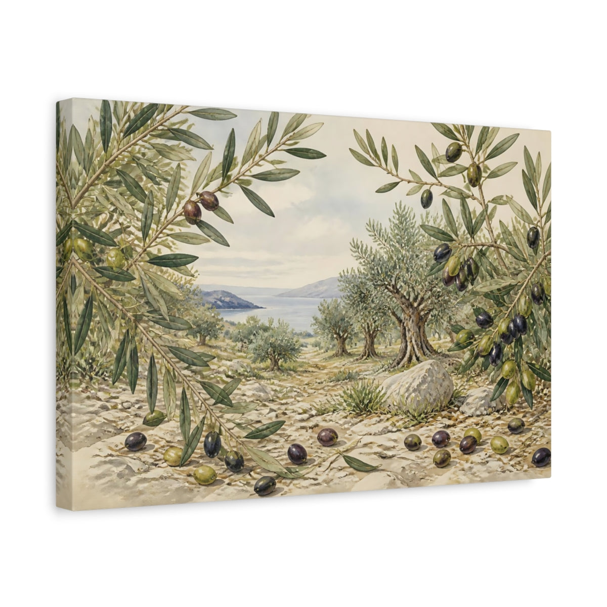 Side Mockup 4. Vintage Olive Branches shown as canvas print