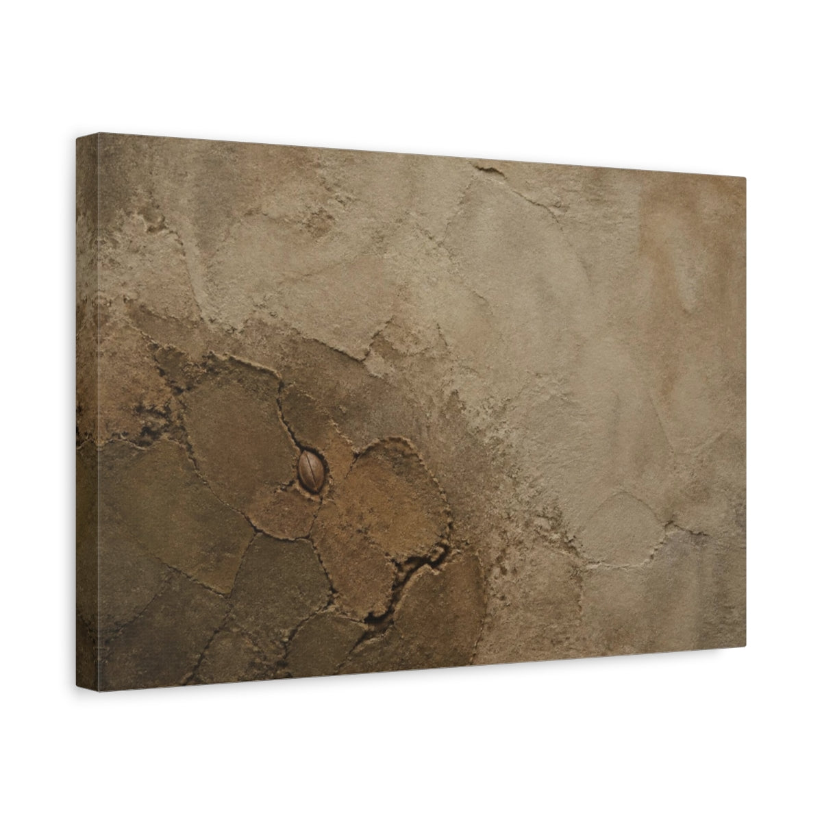 Side Mockup 4. Wabi Sabi Cracked Clay With Seed shown as canvas print