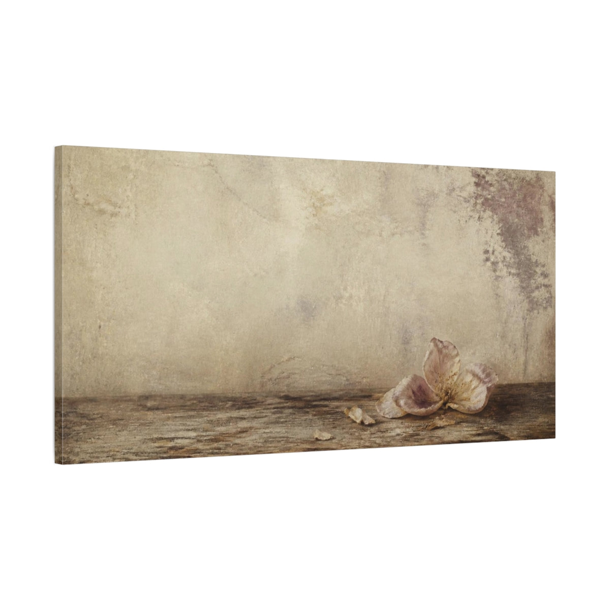 Main Mockup. Wabi Sabi Fallen Blossom shown as canvas print