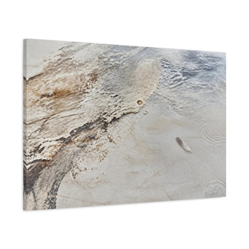 Main Mockup. Wabi Sabi Feather shown as canvas print