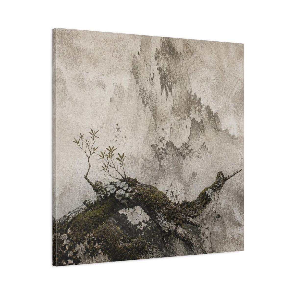 Main Mockup. Wabi Sabi Mossy Branch shown as canvas print