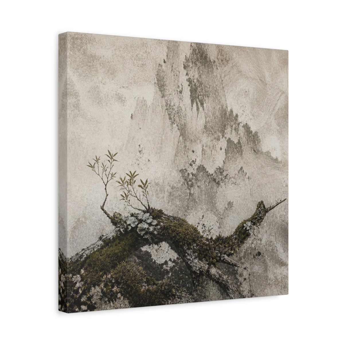 Side Mockup 6. Wabi Sabi Mossy Branch shown as canvas print