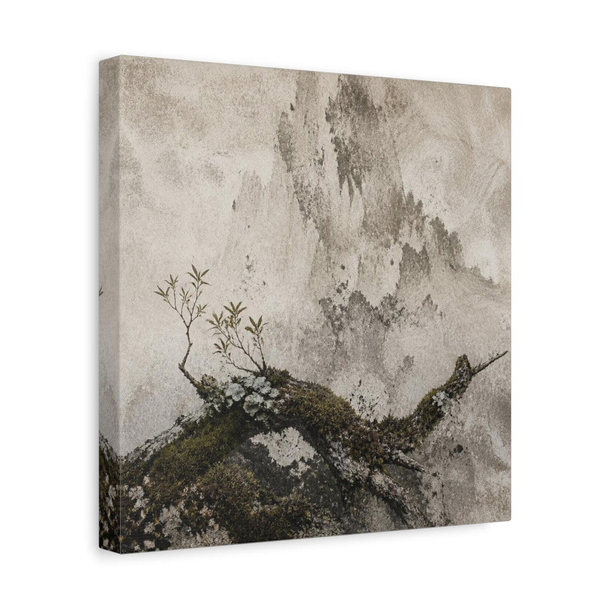 Side Mockup 8. Wabi Sabi Mossy Branch shown as canvas print