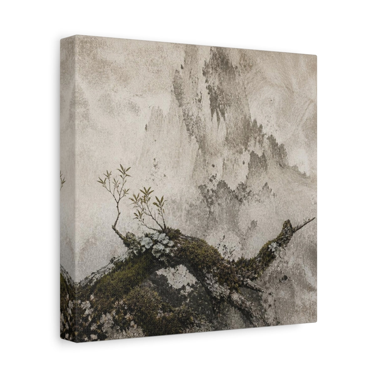 Side Mockup 9. Wabi Sabi Mossy Branch shown as canvas print