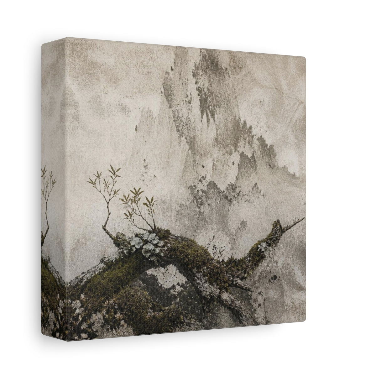 Side Mockup 2. Wabi Sabi Mossy Branch shown as canvas print