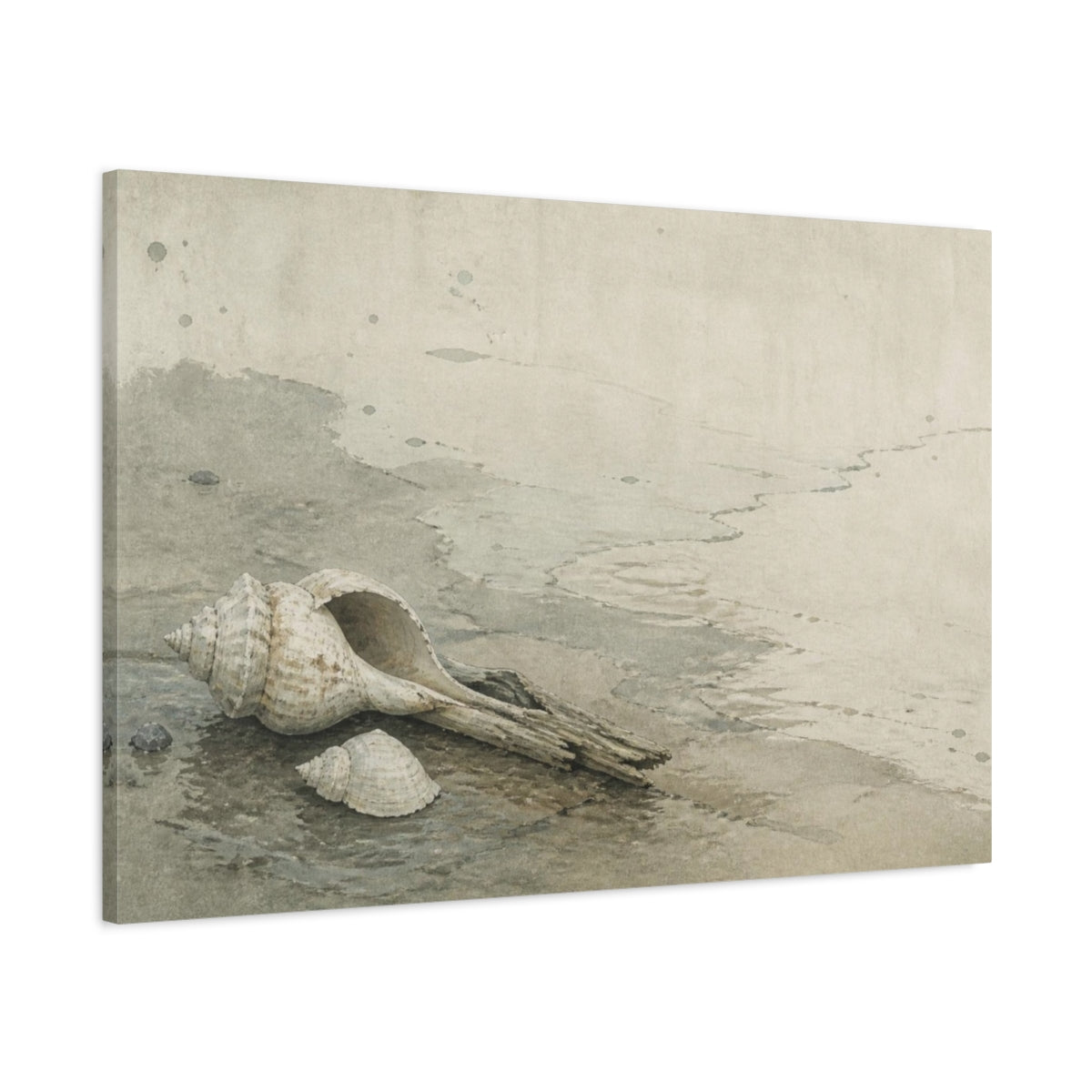 Main Mockup. Wabi Sabi Seashell Study shown as canvas print