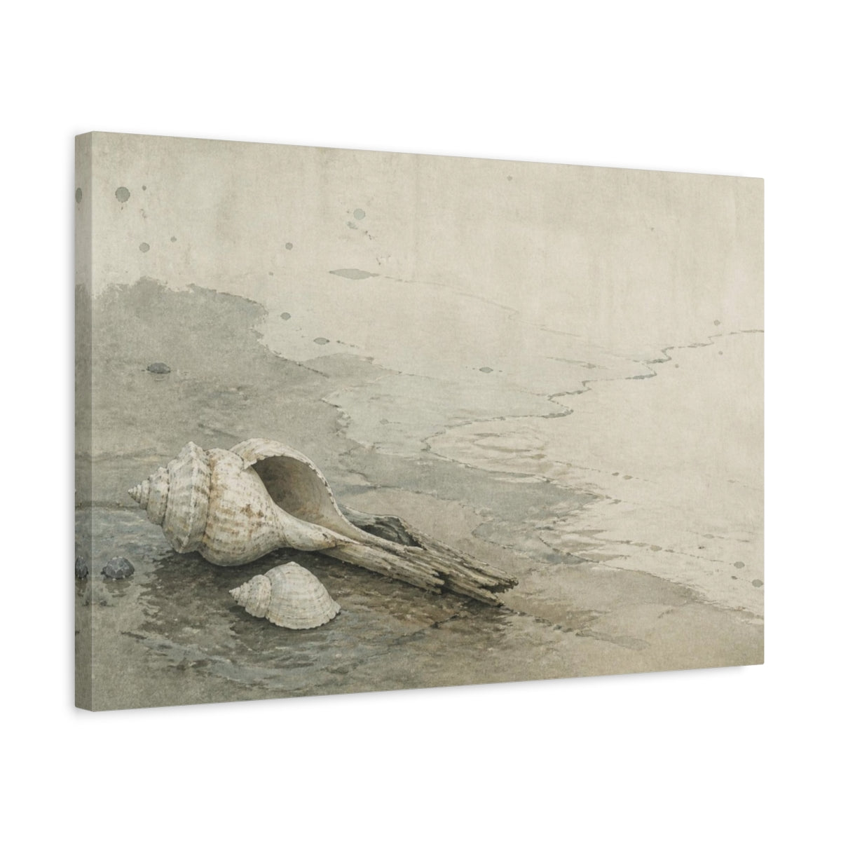 Side Mockup 3. Wabi Sabi Seashell Study shown as canvas print