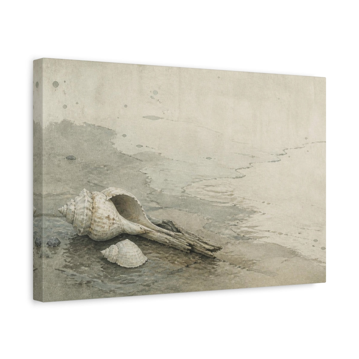 Side Mockup 4. Wabi Sabi Seashell Study shown as canvas print