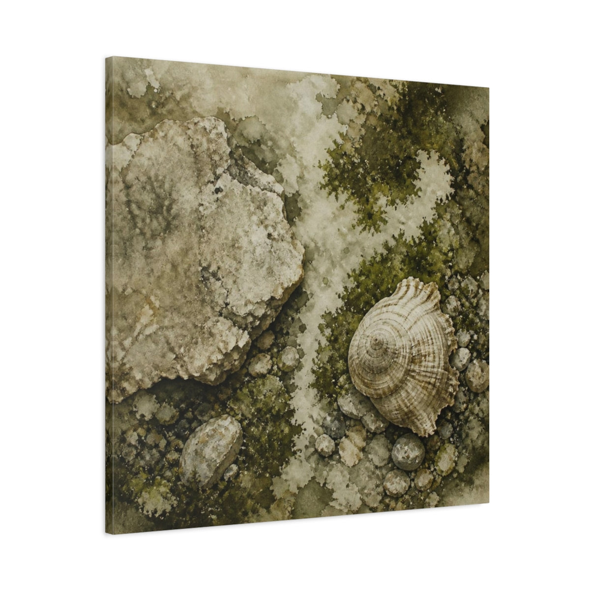 Main Mockup. Wabi Sabi Shell Study shown as canvas print