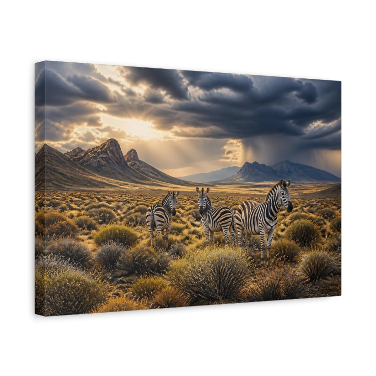 Side Mockup 4. Zebras In Storm Landscape shown as canvas print